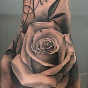 Meet your Posher, Joey